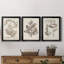 Antique sépia botanicals iv - ensemble de 3 peintures sur toile encadrées-1332138349-1332138351