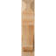 Sapin Douglas-31651503-106952012