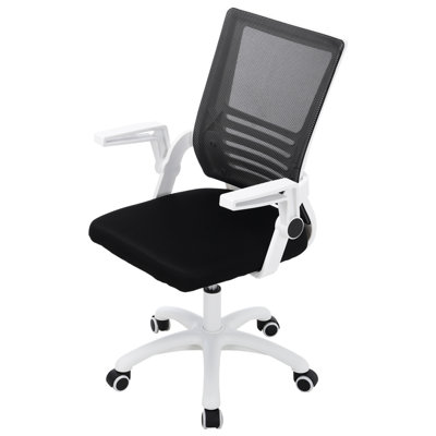 Raghi Mesh Desk Chair