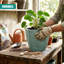 Pot Planter
