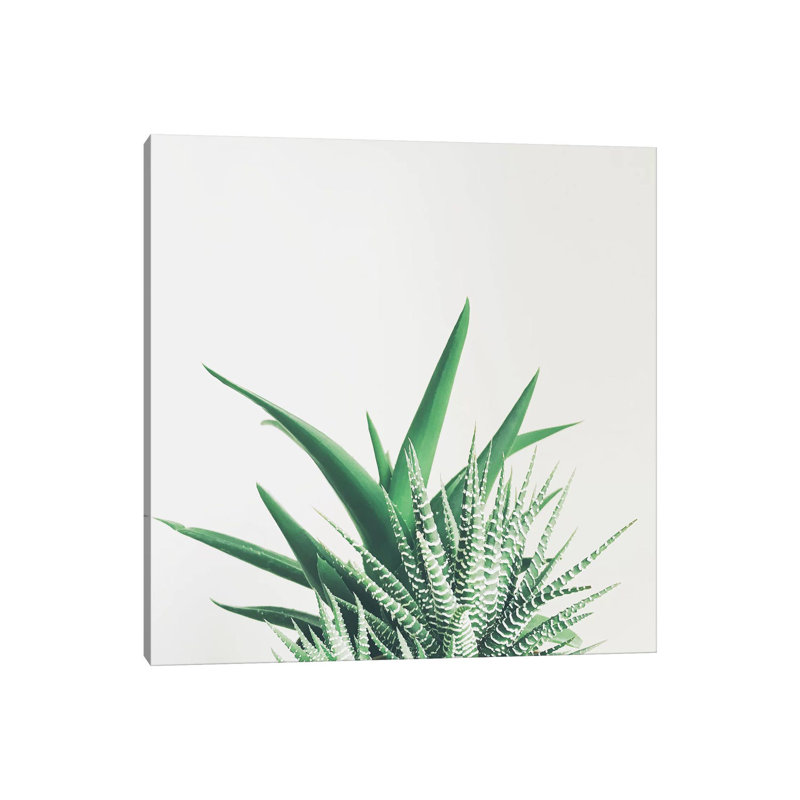 Overlap 1 Piece Wrapped Canvas Wall Art, 45.72 cm H x 45.72 cm W x 1.91 cm D