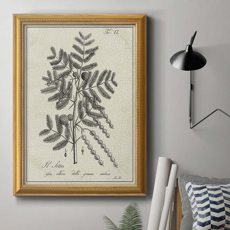 Toile encadrée de qualité supérieure antique noir et blanc botanique I - prête à être accrochée, H 27 po x l 18 po x P 2,5 po