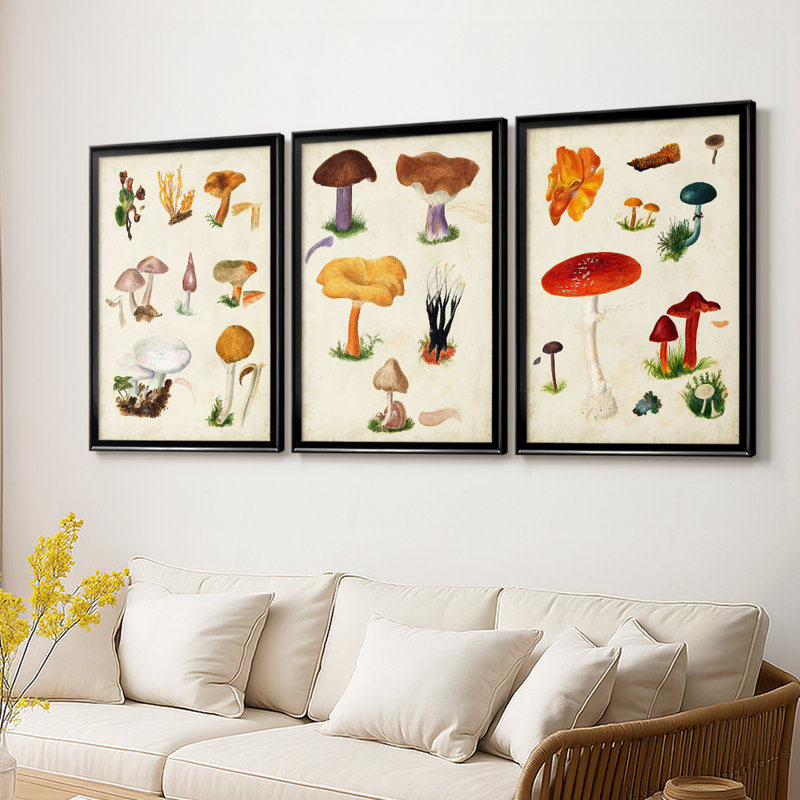Mushroom Species VI - Toile tendue avec châssis sur mesure - 3 pièces, Noir
