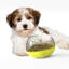 Mangeoire lente APF Series-112024447