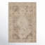 Devoris Oriental Machine Woven Polyester/Polypropylene Area Rug in Beige/Tan-120767933