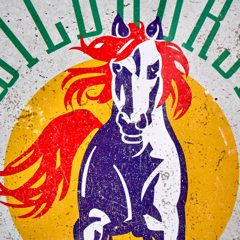 Plaque murale Grand Ole Opry Wildhorse