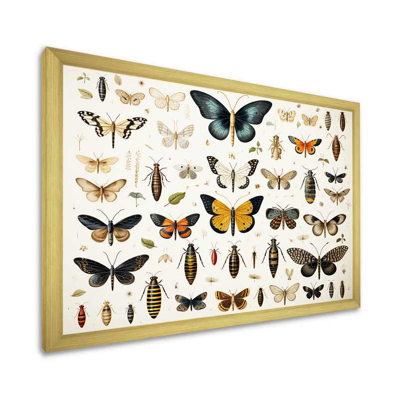 Insectes et insectes jaunes et bleus - Insectes et insectes muraux, Cadre doré à coins fermés, H 16 po x l 32 po x P 1 po