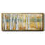 Birch Path II - toile encadrée-1963688596