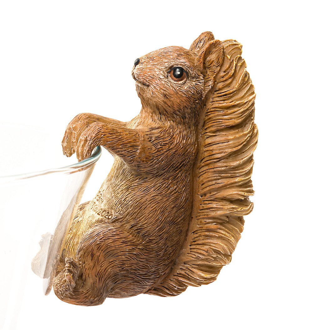 Beatrix Potter Squirrel Nutkin Pot Buddy Pot Hanger In Gift Box Jardinopia