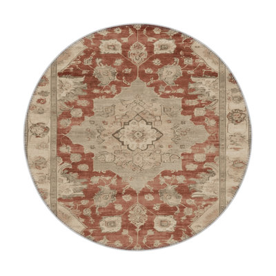 Tapis intérieur et extérieur brun Overdyed
