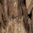 Swind Teak Wood End Table