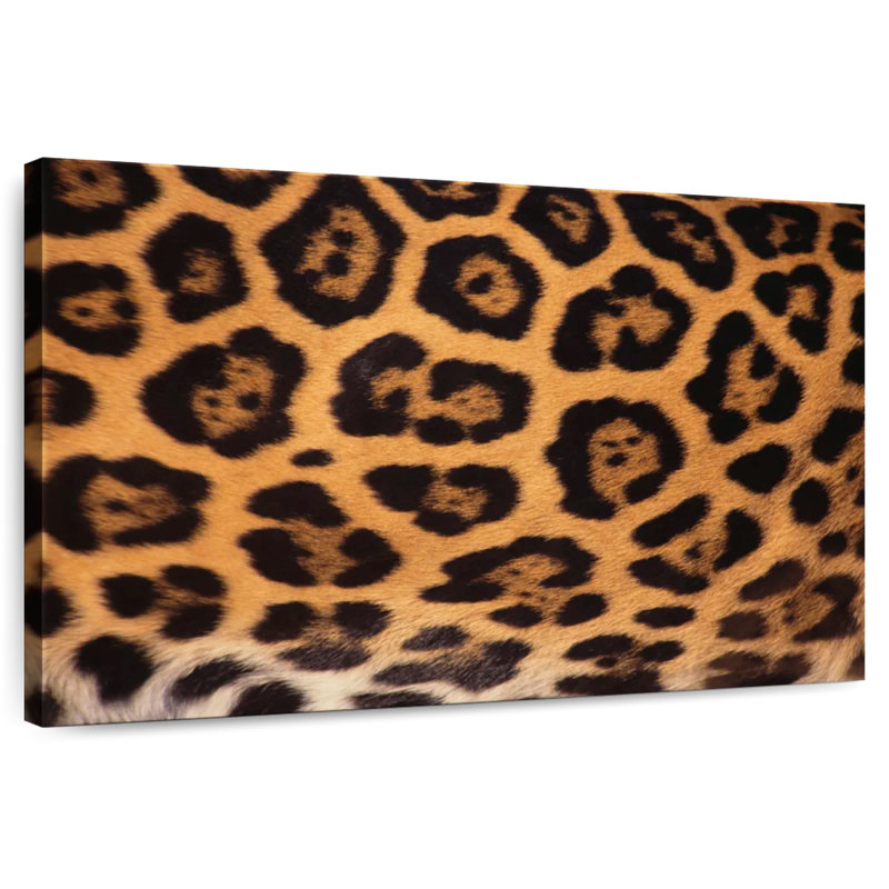 Crowle Jaguar Spots, H 24 po x l 36 po
