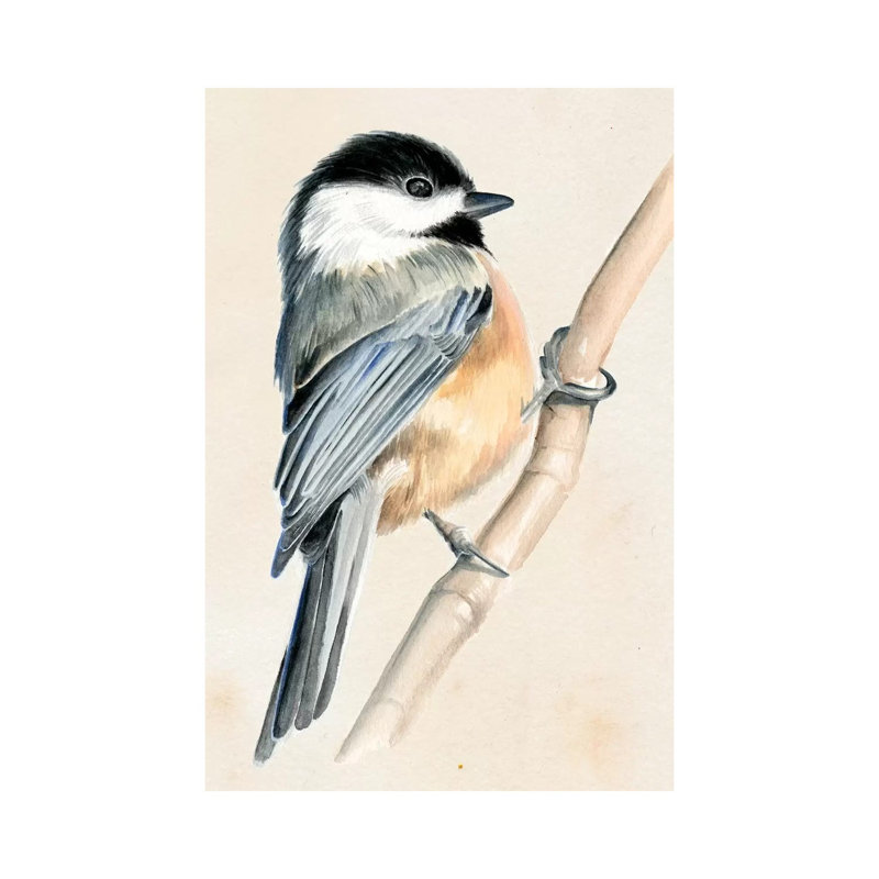 Little Bird On Branch II by Jennifer Paxton Parker - Wrapped Canvas Print, 101.6 cm H x 66.04 cm W x 3.175 cm D