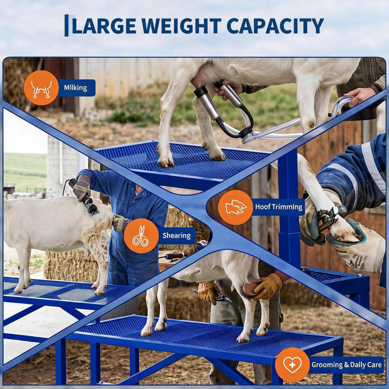 Support de traite pour chèvres de 119 cm avec têtière et pieds ajustables, support de toilettage pour bétail avec mangeoire