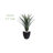Spiked Agave Artificial Plant in Black Planter