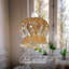 11cm H Glass Dome Lamp Shade ( Screw On )-616380674