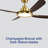 Kamps 56" Indoor/Outdoor Ceiling Fan with LED Light Kit, 6CCT Dimmable LED, Ceiling Fan with Light and Remote - Champagne Bronze with Dark Walnut-1844696651-1844696648