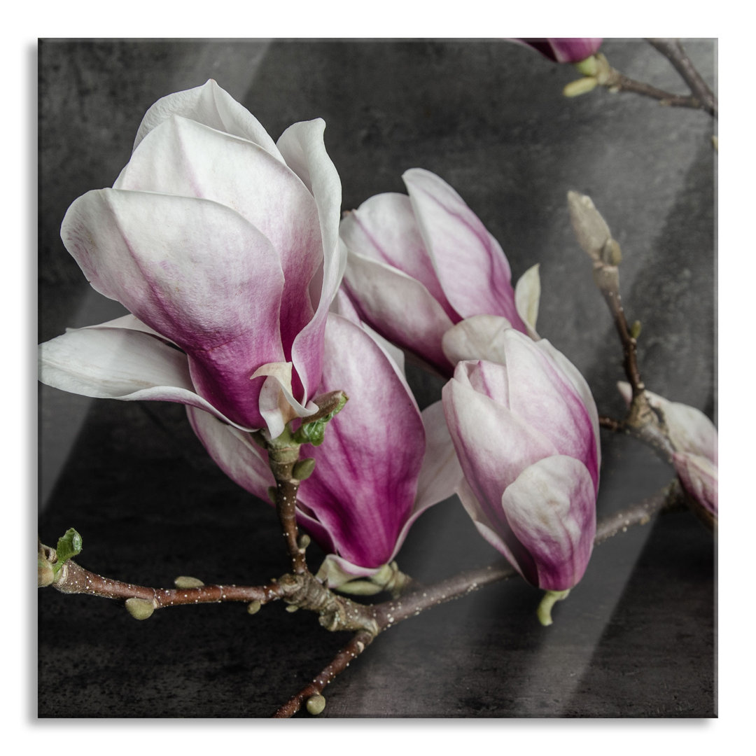 Glasbild aufblühende Magnolie