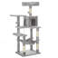 143cm H Cat Tree-100556301-65929858