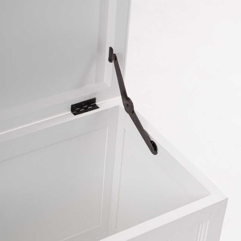 Guildford Solid + Manufactured Wood Accent Trunk