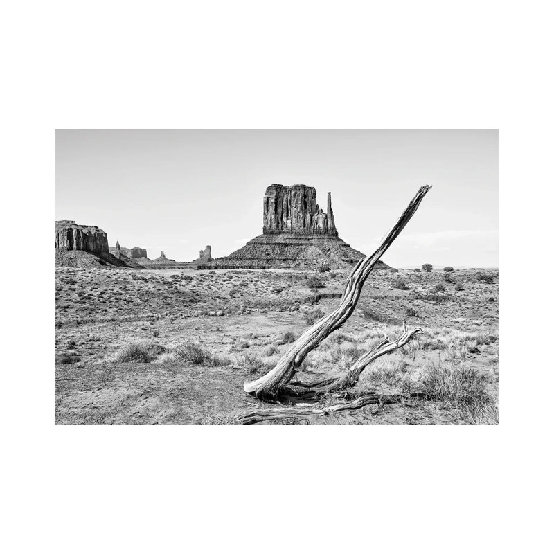 Dry Tree by Philippe Hugonnard - Wrapped Canvas Print, 101.6 cm H x 66.04 cm W x 3.175 cm D
