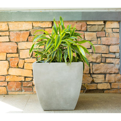 Jardinières en pot
