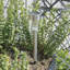 Stainless Steel Low Voltage Solar Powered Integrated LED Pathway Light Pack
