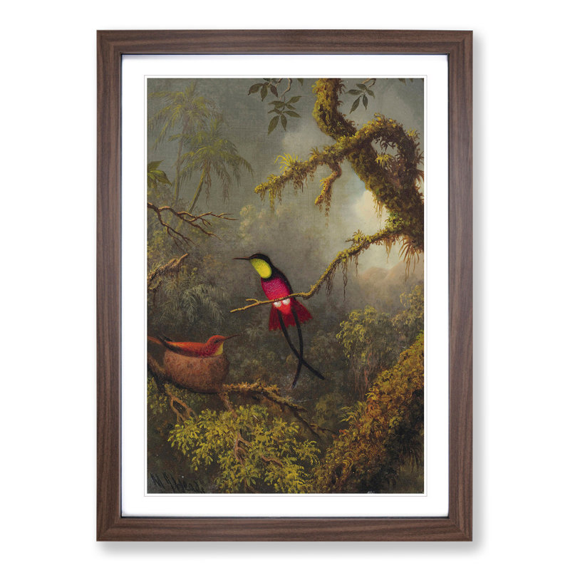 Hummingbird by Martin Johnson Heade - Picture Frame Painting, Walnut Framed, 36cm H x 27cm W x 2cm D