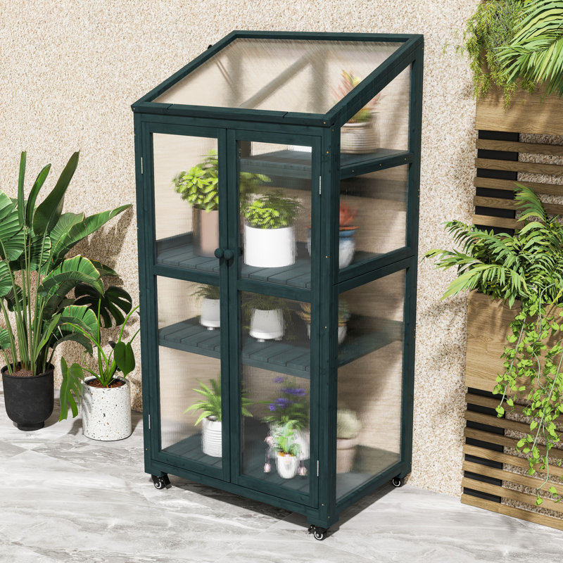 Wood Greenhouse with Adjustable Shelves and Wheels, Portable Cold Frame for Indoor/Outdoor, Black