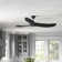 Obsidian Ceiling Fan