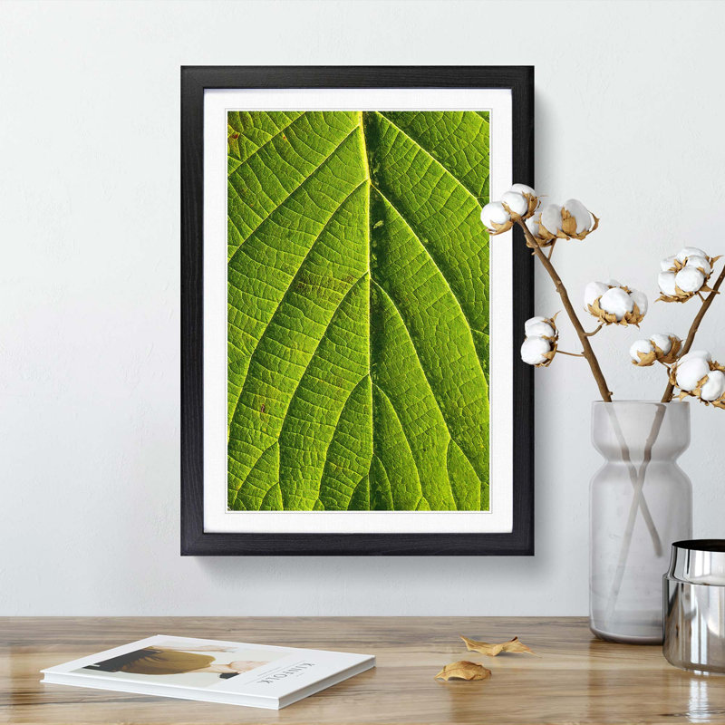 Leaf Pathways - Picture Frame Painting Print, 48cm H x 36cm W x 2cm D, Black Framed