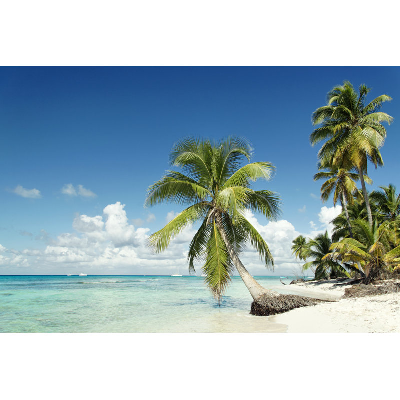 Caribbean Beach - photographie sur toile tendue, L 36 po x H 24 po
