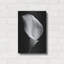 "Lily On Black 02" par Tom Quartermaine-677480993