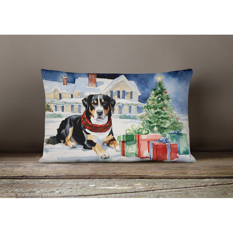Other/No Pattern Outdoor Throw Pillow