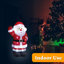 Christmas Decorative Accent