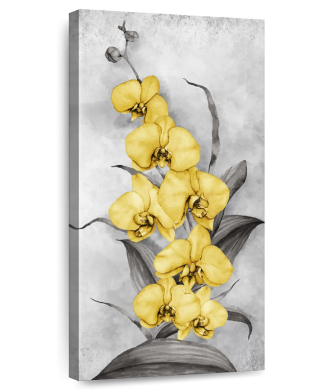 Orchidées jaunes sauvages, H 24 po x l 12 po