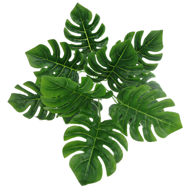 6.38'' Monstera Plant, 6.38' H x 6.38 ' W x 2.05 'D