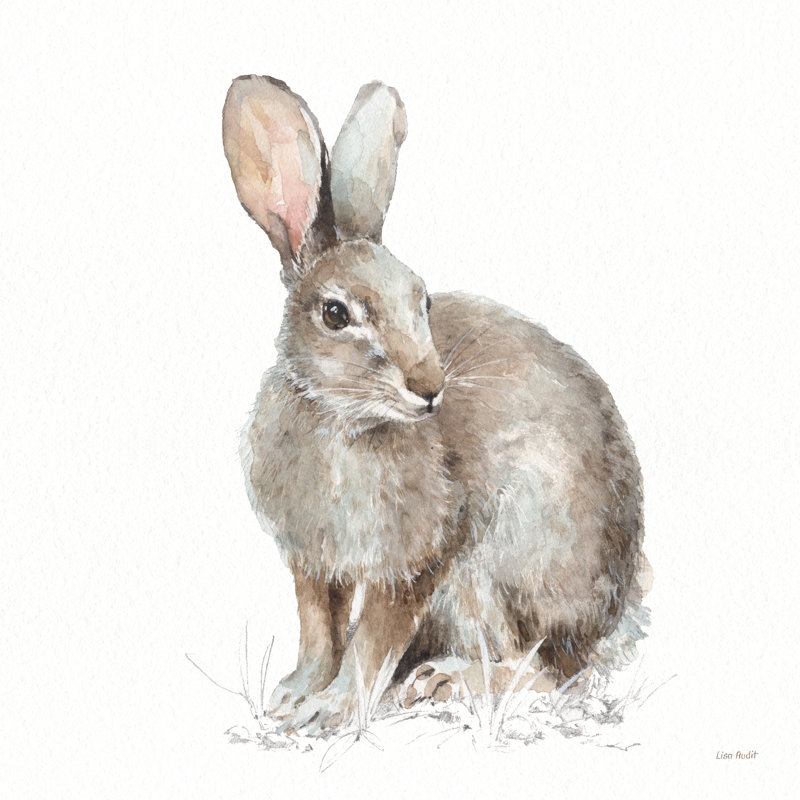 Forest Friends VIII by Lisa Audit - Wrapped Canvas Painting, 30cm H x 30cm W