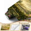 Papier peint adhésif pour chambre d'enfant Magical Forest Path Sunlight Fireflies Wildflowers Wall Wallals-209703201
