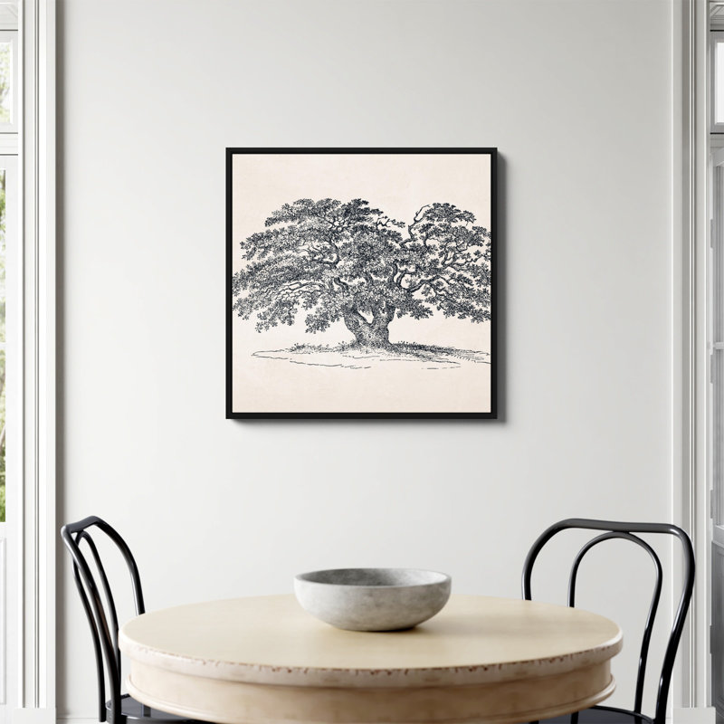 «Wide Oak Tree S Croquis» par Apolo, Non, H 30 po x l 30 po, Toile avec cadre flottant noir