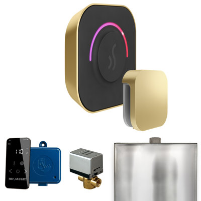 ButlerTouch Steam Shower Control Package with TempoTouch Control and Steamhead i