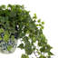 Rio Faux Ivy Plant in Ceramic Decorative Vase