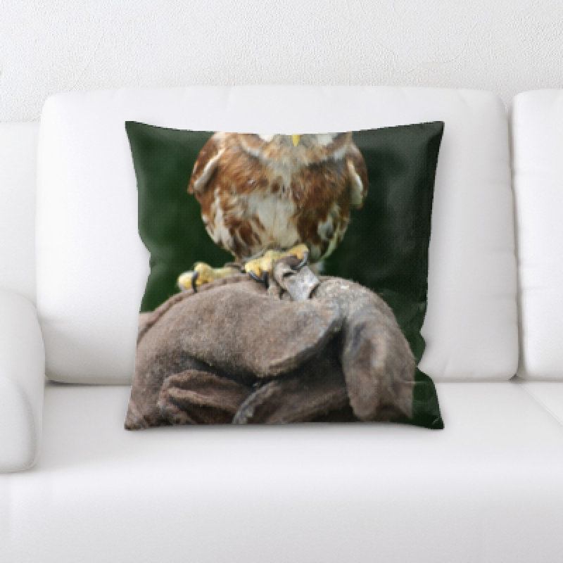Coussin oiseau