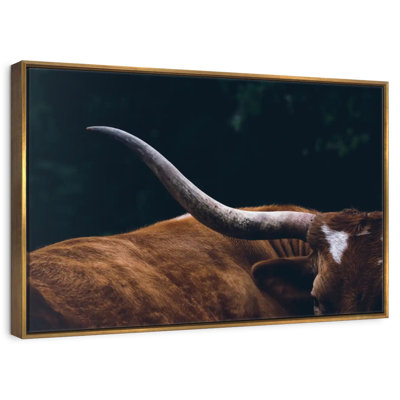 Cow Texas Longhorn