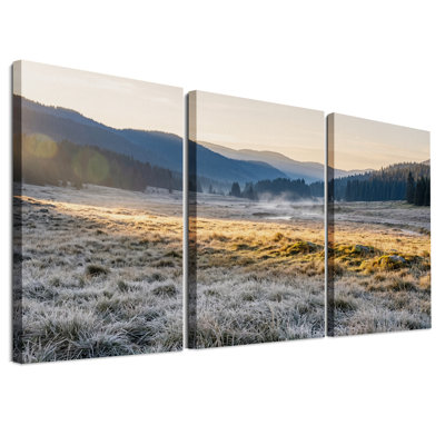 Ensemble de 3 toiles murales représentant une prairie de montagne givrée au lever du soleil doré