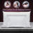 Crescent Premium Plush Polyfill Pillow-494721496