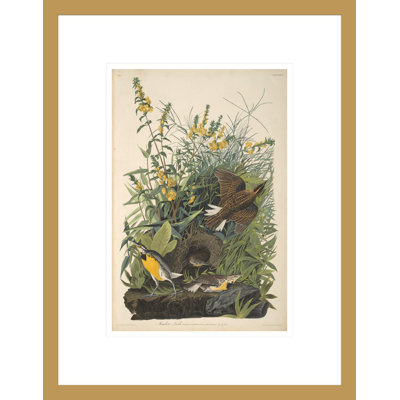 «Meadow Lark from The Birds of America 1827--38» par John James Audubon, impression giclée encadrée