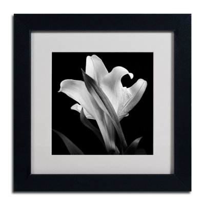 Framed Wall Art - Michael Harrison ‘Lily’ Wall Decor with Matted Frame - Living Room, Kitchen, and Bathroom Art - 16x16