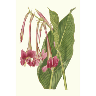 Tropical Indian Reed 1 Piece Wrapped Canvas Painting