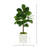 Roemer Fiddle Leaf Fig Tree-1570999666